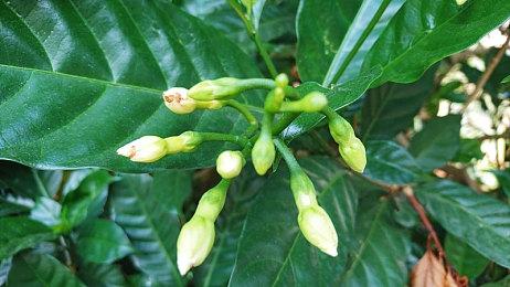 《异度神剑3》主角吹笛慰灵过场公布 7月29日发售